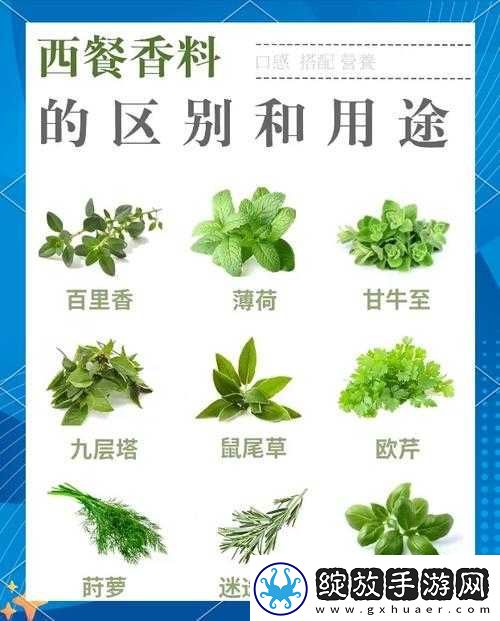 盛世芳华香道深度求索