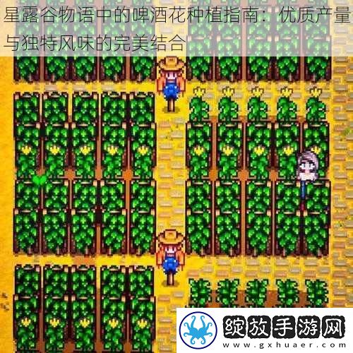 星露谷物语中的啤酒花种植指南