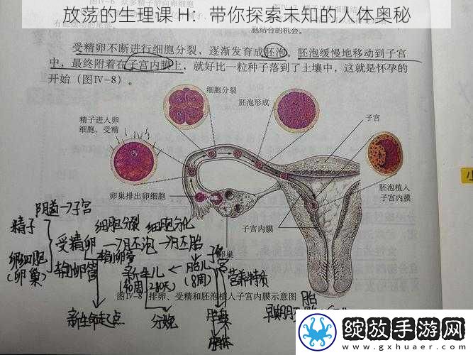 放荡的生理课