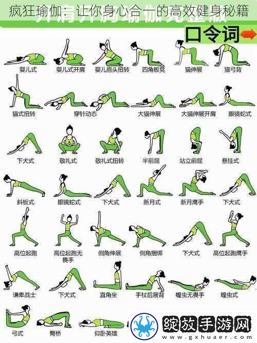 疯狂瑜伽