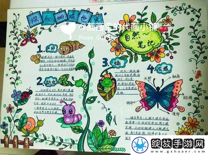 成长的秘密毛毛葆葆观察记录