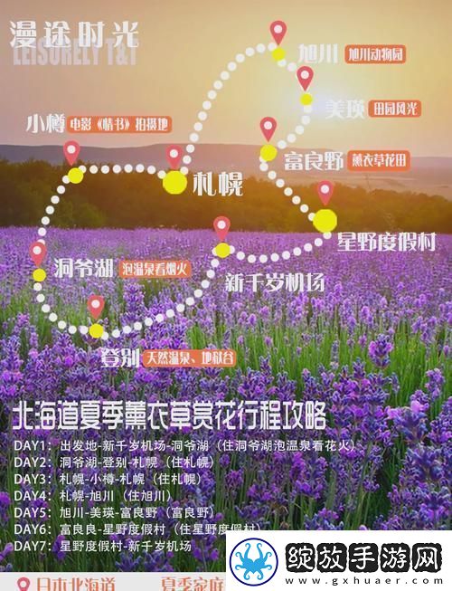 “薰衣草研究所入口隐藏之谜”