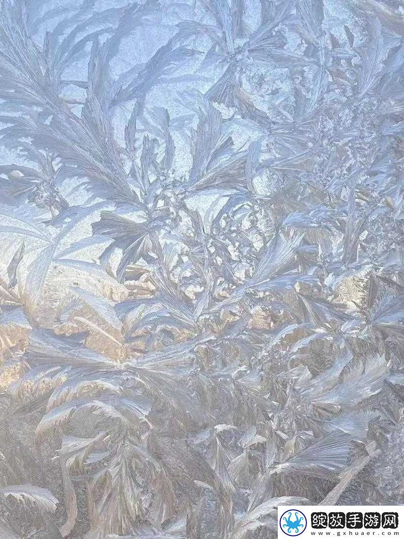 趴在玻璃窗做给别人看的独特视角视频呈现
