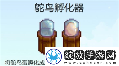 星露谷物语鸵鸟蛋孵化器怎么获取