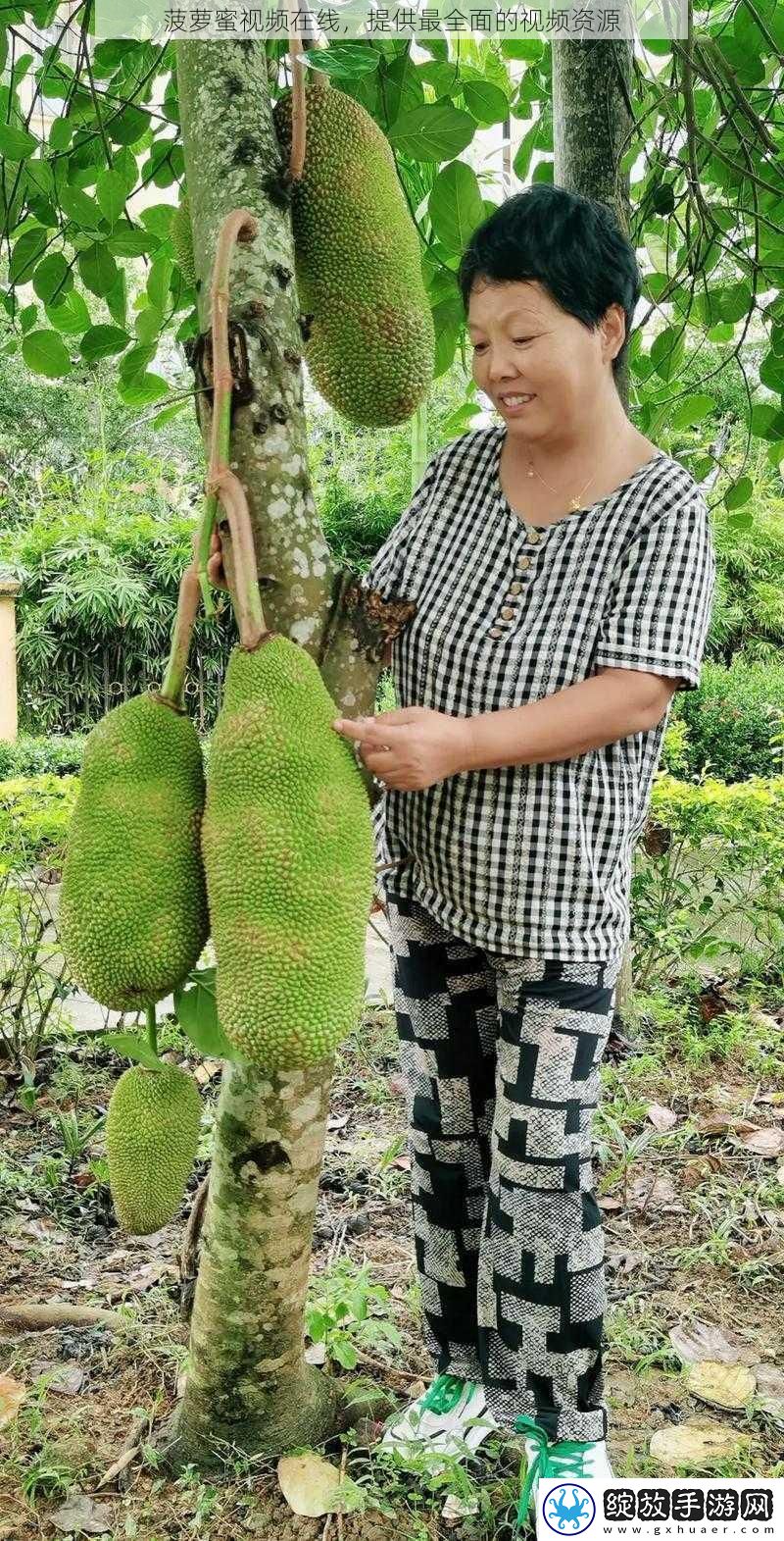 菠萝蜜视频在线