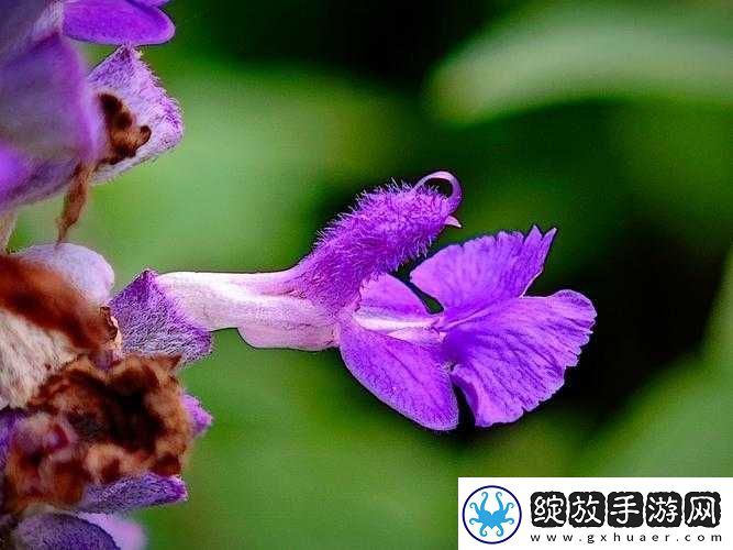 第七色丁香超碰