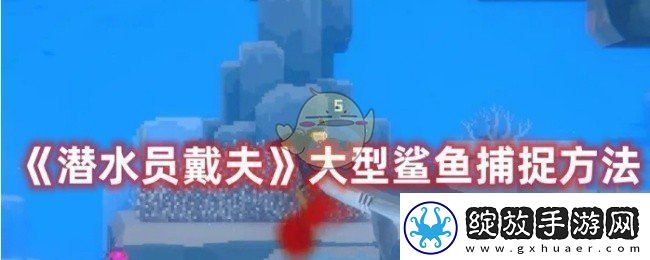 潜水员戴夫怎么捕捉大型鲨鱼