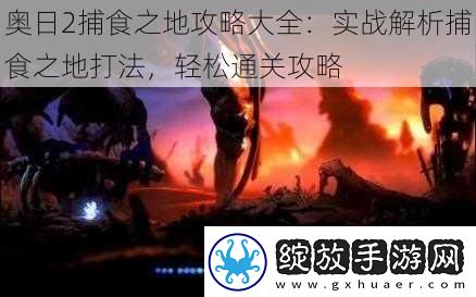 奥日2捕食之地攻略大全