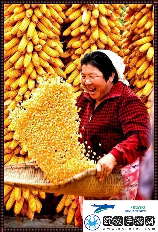 丰年盛宴网喷们的口水仗