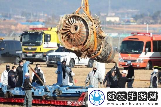 多张韩国空难现场照曝光