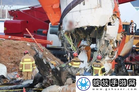 多张韩国空难现场照曝光