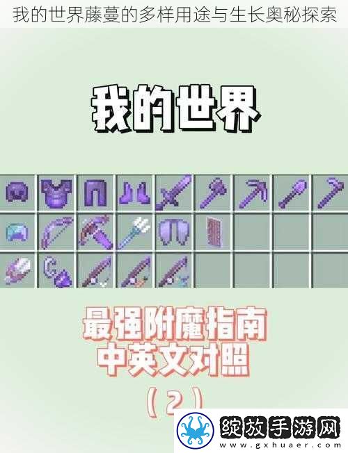 我的世界藤蔓的多样用途与生长奥秘探索