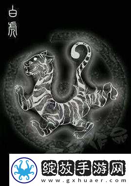 白浆四溢的白虎