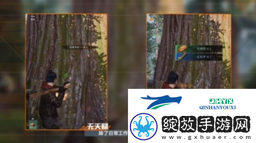黎明觉醒采集怎么没有经验了