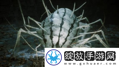 黑神话悟空游戏中有多少个boss