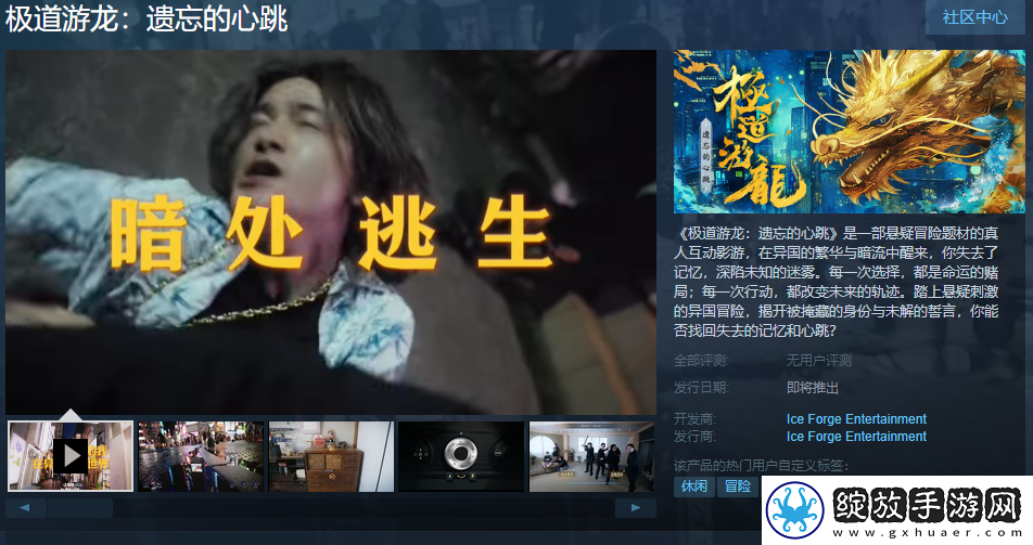 真人互动影游极道游龙