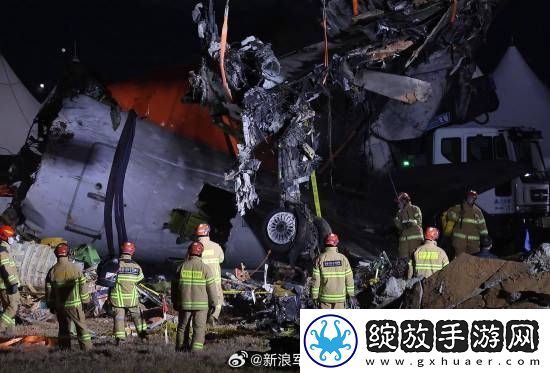 多张韩国空难现场照曝光