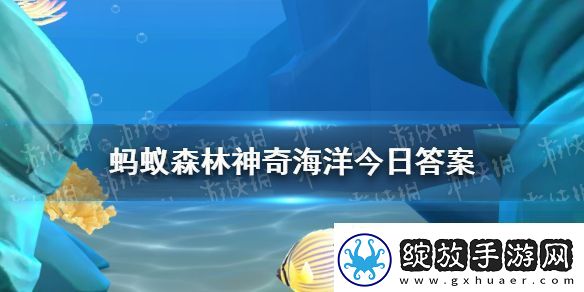 生活在海底的虎耳菇其实是一种