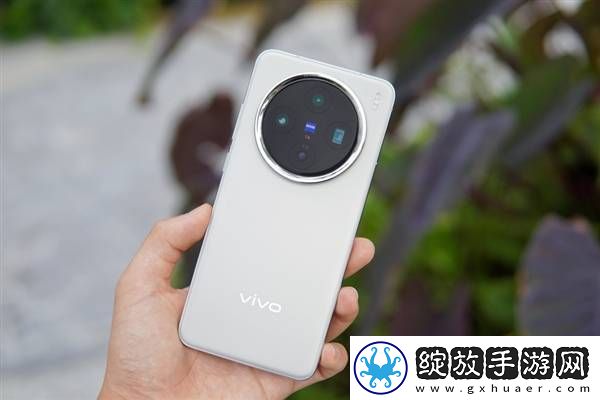 vivo