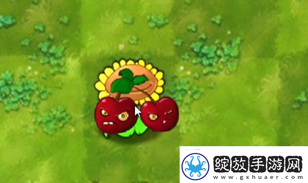 植物大战僵尸融合版阳光炸弹有什么用
