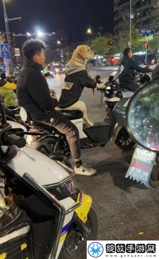 和脸一起出镜的博主