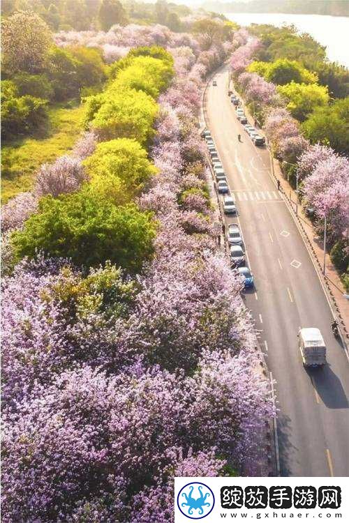 激情燃烧的都市
