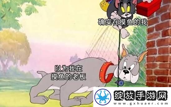 和脸一起出镜的博主