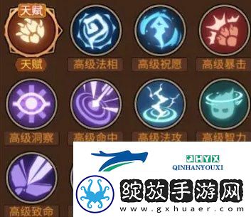 地下城与领主宠物培养哪个好