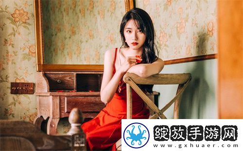 成品视频观看入口无需
