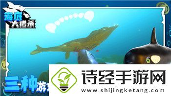 享受战国无双5怎么双人玩