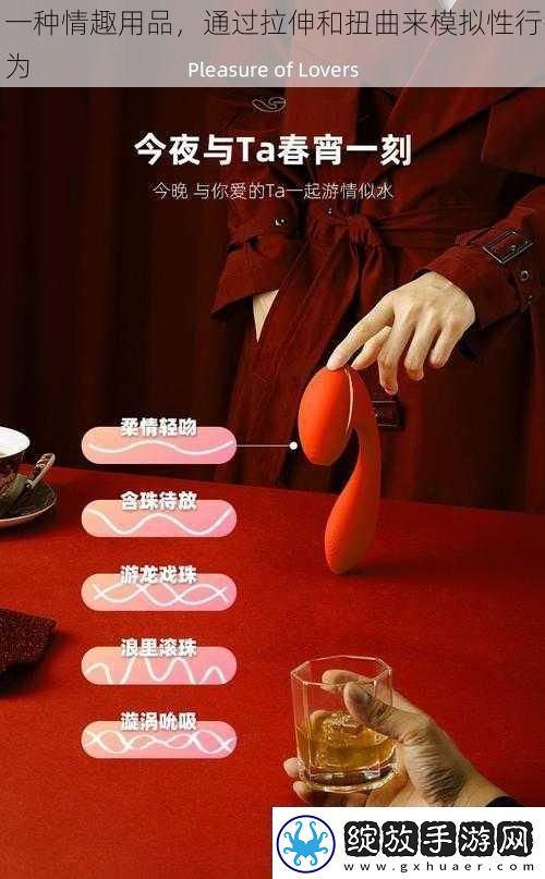 一种情趣用品