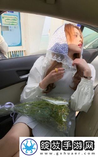 日产欧产美韩区别316高清版截图
