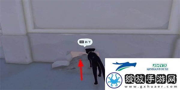 小猫咪大城市瓢虫帽怎么收集