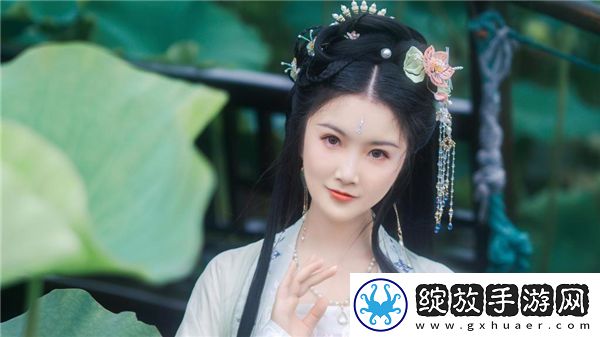 imax私人家庭影院方案截图