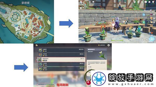 原神塞西莉亚花采集地点