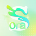 Sorai视频剪辑