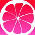 伊缅园在线免费入口2029辣妹版