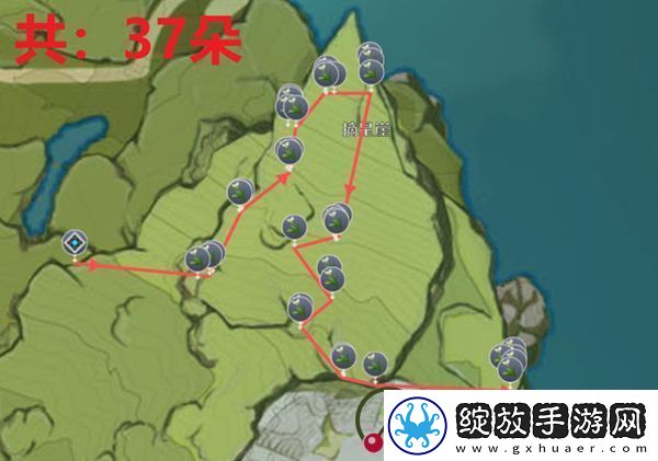 原神塞西莉亚花采集地点