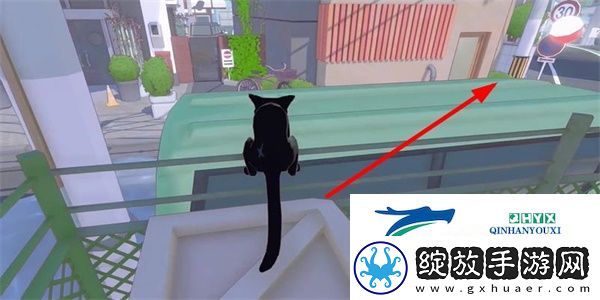 小猫咪大城市瓢虫帽怎么收集