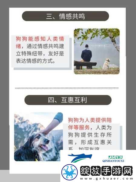 人物与动物交互