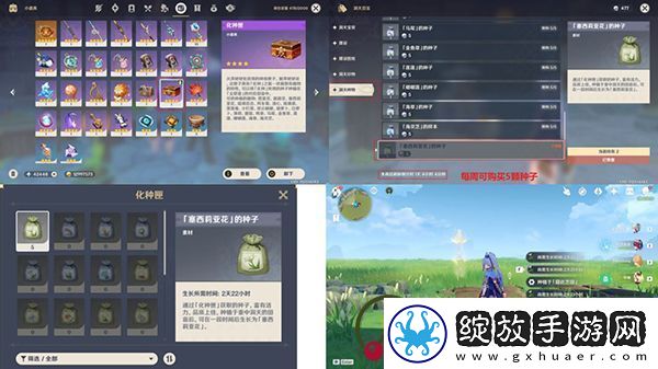 原神塞西莉亚花采集地点