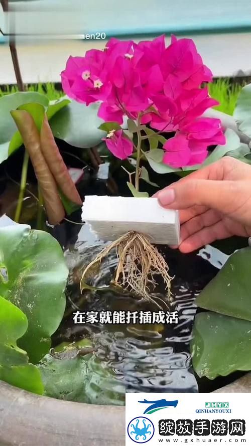 新探讨坐着扦插BB有什么好处的多重优势