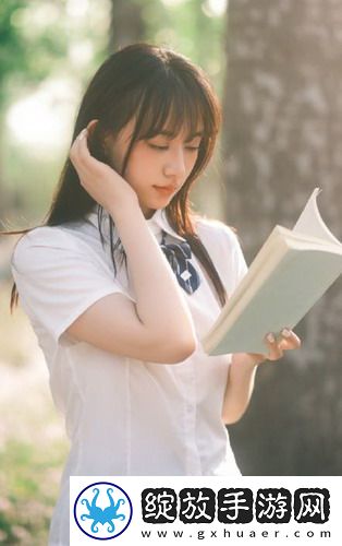 无代码免费在线观看web开发平台无广告版