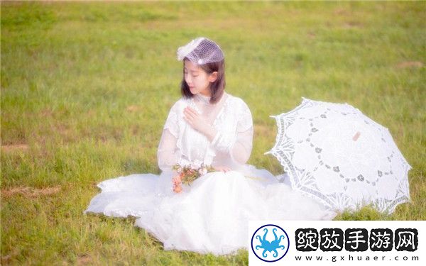 多伦多私人电影院超清版截图