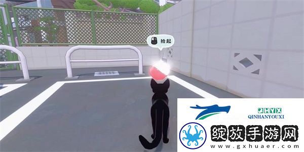 小猫咪大城市苹果帽怎么收集