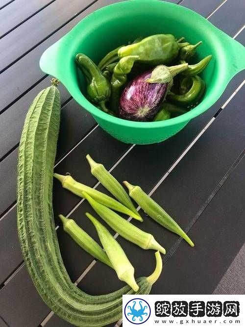 番茄黄瓜丝瓜草莓秋葵大全