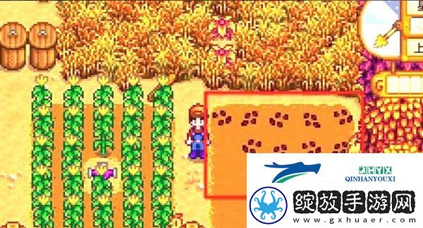 星露谷物语甜菜根如何获取
