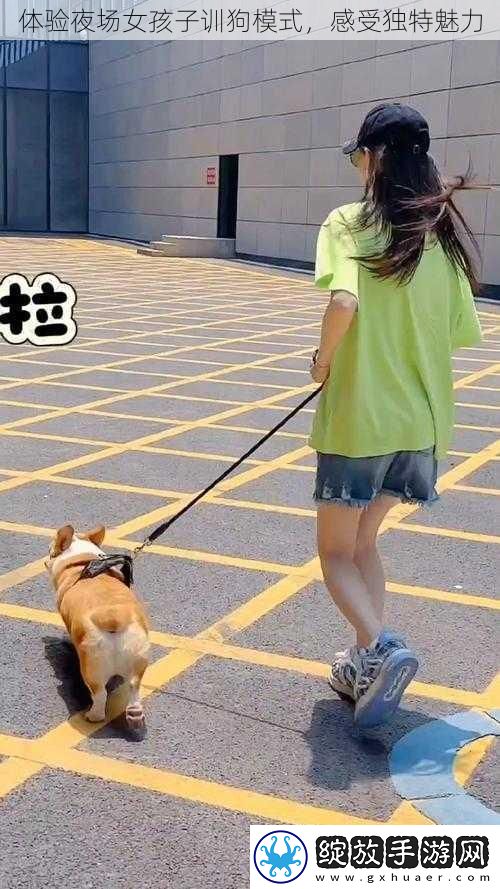 体验夜场女孩子训狗模式