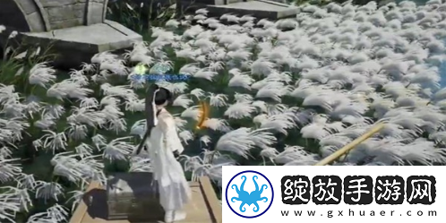 射雕手游梅花肯瓷全收集攻略