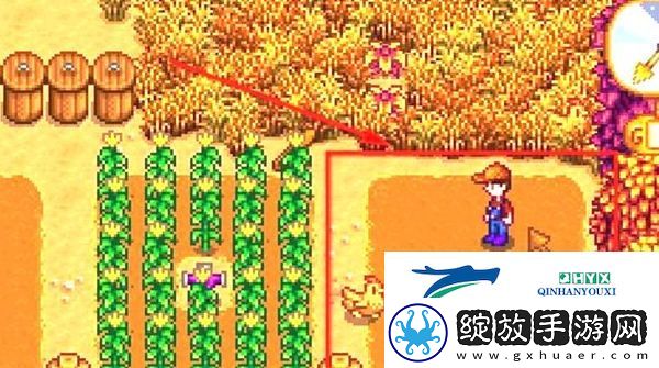星露谷物语甜菜根如何获取